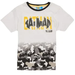 TEAM HEROES  - ENSEMBLE BATMAN Multicolore Best