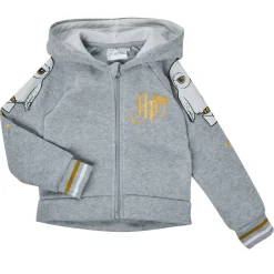 TEAM HEROES  - ENSEMBLE HARRY POTTER Gris Best
