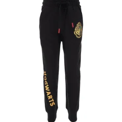 TEAM HEROES  - JOGGING HARRY POTTER< Joggings & Survêtements