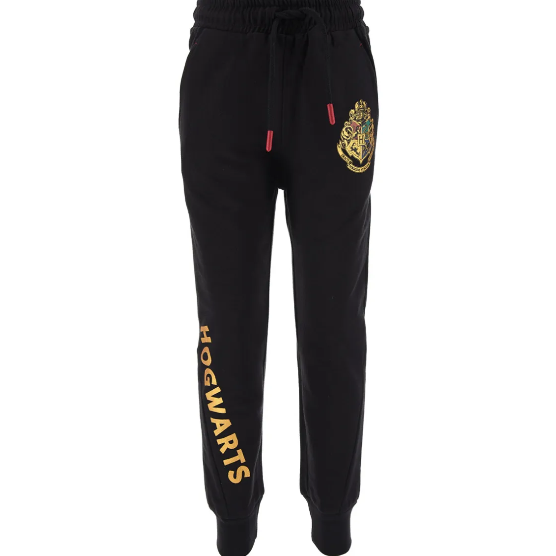 TEAM HEROES - JOGGING HARRY POTTER< Joggings & Survêtements