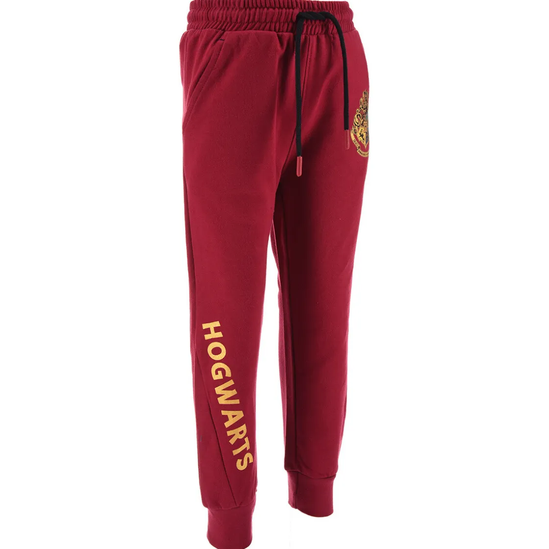 TEAM HEROES - JOGGING HARRY POTTER Violet New