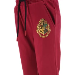TEAM HEROES - JOGGING HARRY POTTER Violet New