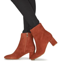 Ted Baker - DANIM Marron Clearance