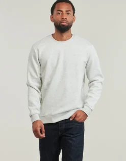 Teddy Smith - NARK RC< Sweats & Polaires