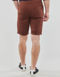 Teddy Smith - SHORT CHINO Marron Best