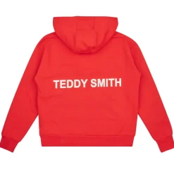 Teddy Smith - S-REQUIRED G JR< Sweats & Polaires