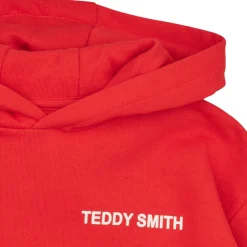 Teddy Smith - S-REQUIRED G JR< Sweats & Polaires