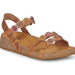 Think - KOAK Camel Discount