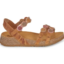 Think - KOAK Camel Discount