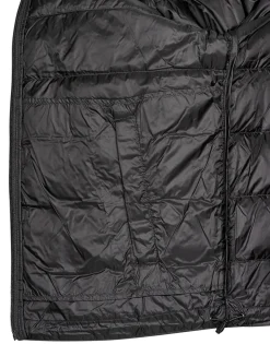 Tommy Jeans - TJM ESSENTIAL LIGHT DOWN JACKET< Manteaux