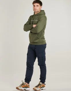 Tommy Jeans Sweats & Polaires^- TJM REG LINEAR LOGO HOODIE EXT