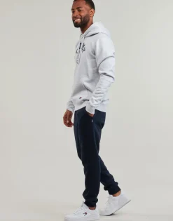 Tommy Jeans - TJM REG WASHED PREP EXPLR HOODIE Gris