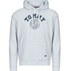 Tommy Jeans - TJM REG WASHED PREP EXPLR HOODIE Gris