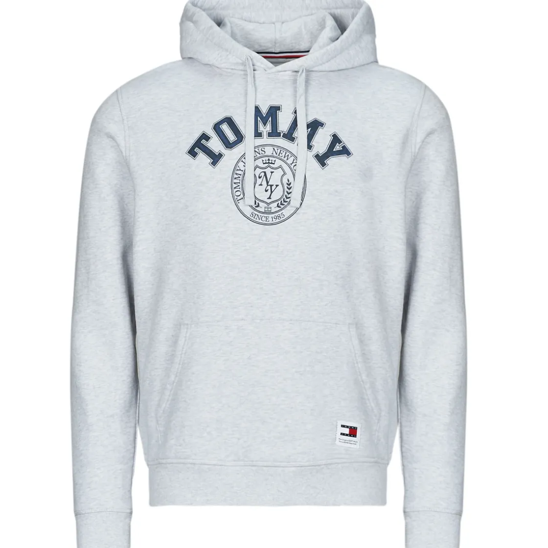 Tommy Jeans - TJM REG WASHED PREP EXPLR HOODIE Gris