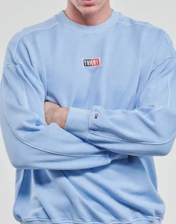 Tommy Jeans - TJM SKATER TIMELESS TOMMY CREW< Sweats & Polaires