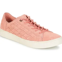 Toms - LENOX< Baskets Mode