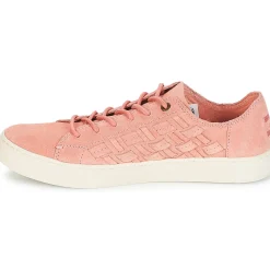 Toms - LENOX< Baskets Mode
