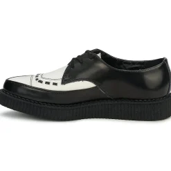 TUK Derbies & Richelieu^- POINTED CREEPER