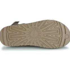 UGG - GOLDENSTAR CLOG Taupe New