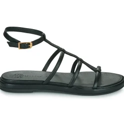 Unisa - CLISA Noir Discount
