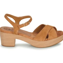 Unisa - IRAM Camel New