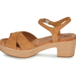 Unisa - IRAM Camel New