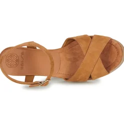 Unisa - IRAM Camel New
