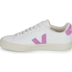 Veja - CAMPO New