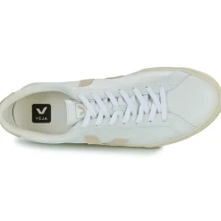 Veja - ESPLAR LOGO Online