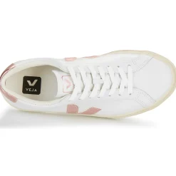 Veja - ESPLAR LOGO Best