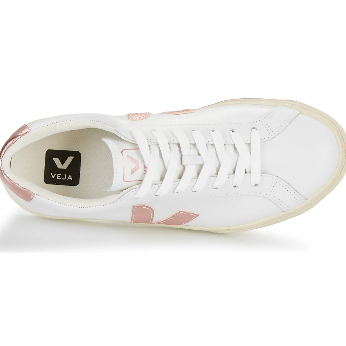 Veja - ESPLAR LOGO Best
