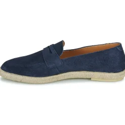Verbenas - Kenia Serraje Marine Hot