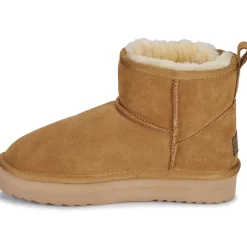Warmbat - WALLABY Marron Online