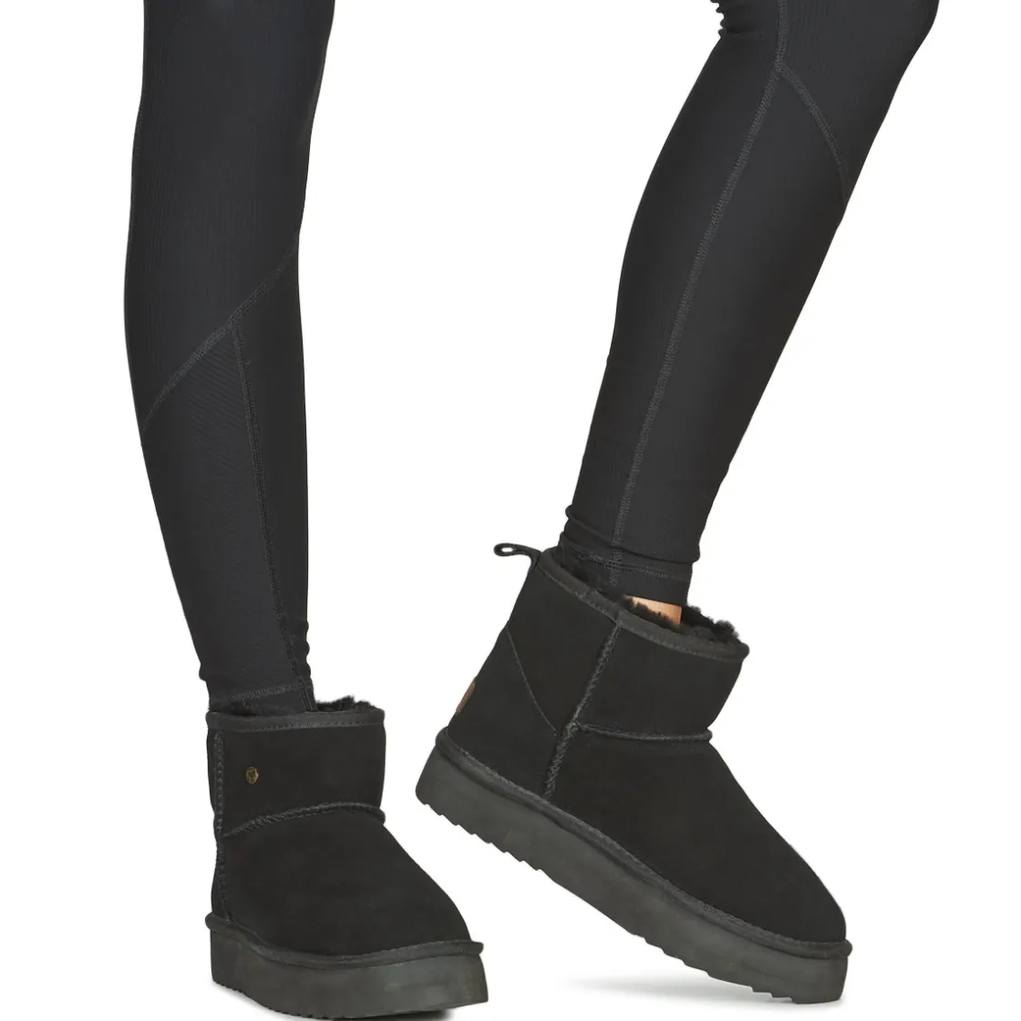 Warmbat Bottines / Boots^- WALLABY