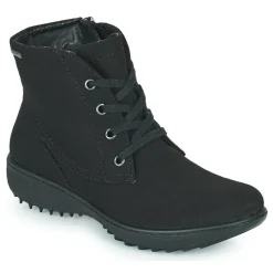 Westland - ORLEANS 126< Bottines / Boots