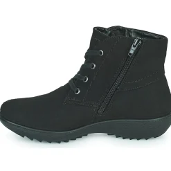 Westland - ORLEANS 126< Bottines / Boots