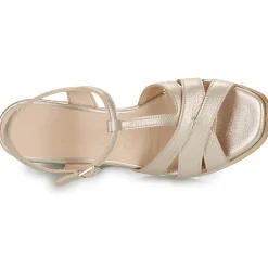 Wonders - M-1024 Doré