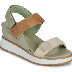 Xti - 143848 Kaki Online