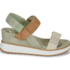 Xti - 143848 Kaki Online