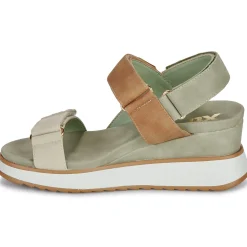 Xti - 143848 Kaki Online