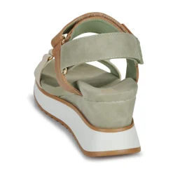 Xti - 143848 Kaki Online