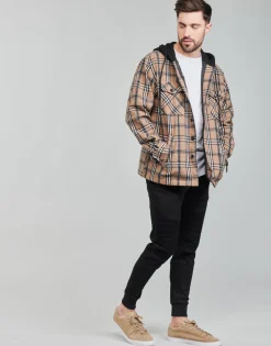 Yurban Vestes^- AIER