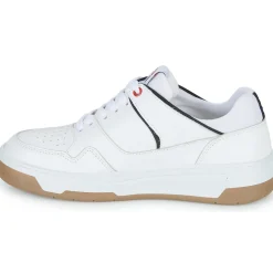 Yurban - CHICAGO< Baskets Mode