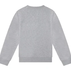 Zadig & Voltaire - X25374-A35-J< Sweats & Polaires